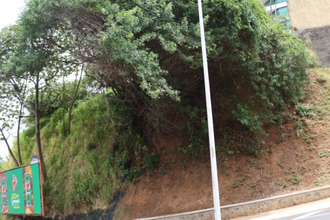 Leilão área verde encosta cancelado em Salvador