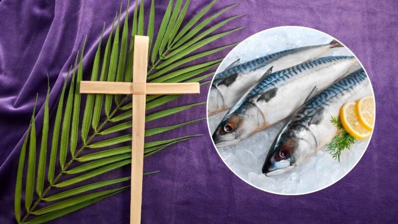 Simões Filho libera consulta online para retirada do Ticket do Peixe 2025