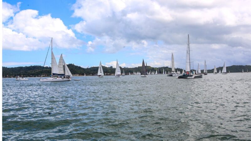 Veleiros na 56ª regata Aratu-Maragojipe movimentando a Baía de Aratu em Simões Filho