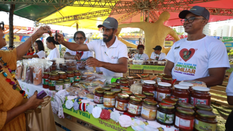 Expositores da feira baiana agricultura familiar exibem produtos regionais