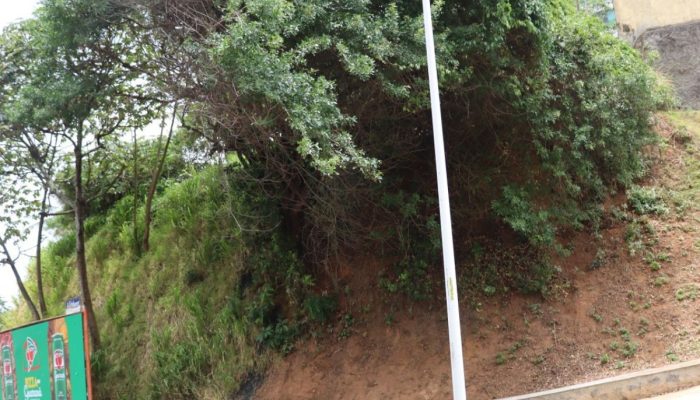 Leilão área verde encosta cancelado em Salvador