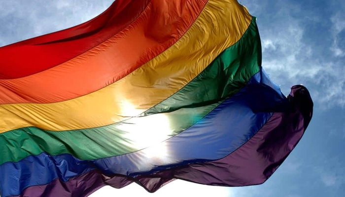 bandeira do movimento lgbt