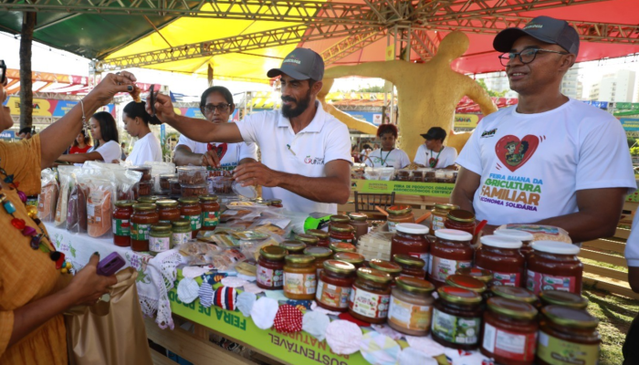 Expositores da feira baiana agricultura familiar exibem produtos regionais