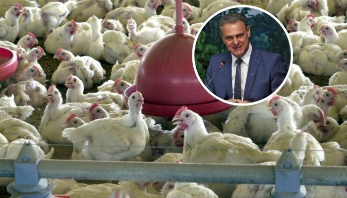 Brasil pode retomar exportações de carne de frango em até 28 dias, diz ministro