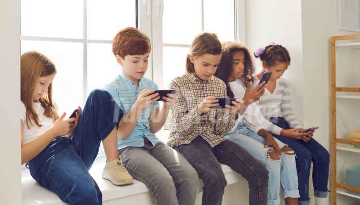 impactos da decisão do STF