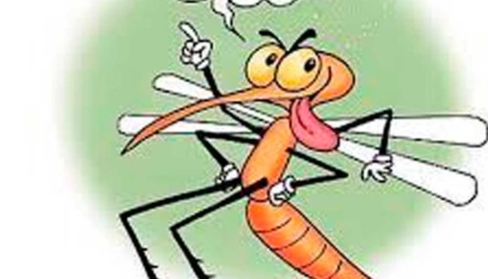 muriçoca sapeca tudo é política