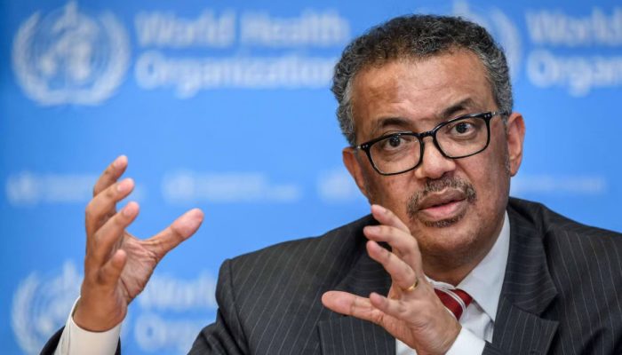 O Que Diz o Relatório da OMS Sobre a Origem da COVID?